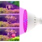 Lampa LED fotosinteza plante, 200 LED-uri, lumina rosie 660 nm, lumina albastra 450 nm, unghi reglabil, clema prindere