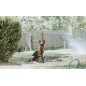 Aspersor de gradina, kit de racire cu vapori, furtun 10 m, 11 duze pulverizare