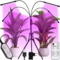 Lampa crestere plante, 20 LED-uri, lumina rosie/albastra, timer, 3 moduri iluminare, 10 trepte intensitate, unghi reglabil