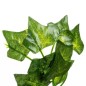 Ghirlanda decorativa iedera artificiala, 3 siruri, lungime 6,3 metri, verde Ghirlanda decorativa iedera artificiala, 3 siruri, lungime 6,3 metri, verde