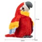 Papagal educational interactiv pentru copii, repeta cuvinte, danseaza, plus, 21x23x14 cm, multicolor