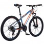 Bicicleta Mountain Bike 26", 21 viteze, schimbator Shimano, suspensii pe furca, PHOENIX, RESIGILAT