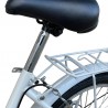 Bicicleta de oras, 20 inch, cadru otel, 6 viteze, cos cumparaturi, portbagaj, alb