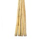 Arac din bambus pentru sustinere plante, diametru 14 mm, lungime 180 cm Arac din bambus pentru sustinere plante, diametru 14 mm, lungime 180 cm