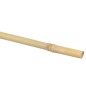 Arac din bambus pentru sustinere plante, diametru 14 mm, lungime 180 cm Arac din bambus pentru sustinere plante, diametru 14 mm, lungime 180 cm
