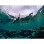 Masca snorkeling cu tub, S/M, sistem DryTop, anti-aburire, vizibilitate 180 de grade, negru Masca snorkeling cu tub, S/M, sistem DryTop, anti-aburire, vizibilitate 180 de grade, negru
