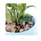 Cleme fixare plante, doua dimensiuni diferite, set 108 bucati, PP verde