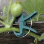 Cleme fixare plante, doua dimensiuni diferite, set 108 bucati, PP verde