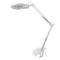 Lampa profesionala fluorescenta Shadowless, lupa 5 dpi, 22W, brat ajustabil, clema prindere masa Lampa profesionala fluorescenta Shadowless, lupa 5 dpi, 22W, brat ajustabil, clema prindere masa