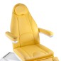 Fotoliu cosmetic electric, suport picioare reglabil, inaltime 58-89 cm, galben Fotoliu cosmetic electric, suport picioare reglabil, inaltime 58-89 cm, galben