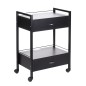Dulap cosmetic depozitare, 2 sertare, 4 roti, negru Dulap cosmetic depozitare, 2 sertare, 4 roti, negru