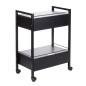 Dulap cosmetic depozitare, 2 sertare, 4 roti, negru Dulap cosmetic depozitare, 2 sertare, 4 roti, negru