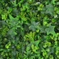 Gard viu artificial, Premium, gradina verticala cu frunze verzi, panou 40x60 cm Gard viu artificial, Premium, gradina verticala cu frunze verzi, panou 40x60 cm