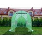 Sera de gradina tip tunel, 3 x 2 x 2 metri, 6 ferestre cu plase, filtru UV4, verde Sera de gradina tip tunel, 3 x 2 x 2 metri, 6 ferestre cu plase, filtru UV4, verde