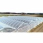 Folie UV acoperire solar, rezistenta UV, 200 microni, polietilena, transparenta, 12 m latime, lungime 1 m Folie UV acoperire solar, rezistenta UV, 200 microni, polietilena, transparenta, 12 m latime, lungime 1 m