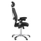 Scaun ergonomic birou, inaltime reglabila, pivotant, baza metalica, mesh