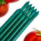 Arac plante, lungime 120 cm, diametru 16 mm, teava otel si plastic Arac plante, lungime 120 cm, diametru 16 mm, teava otel si plastic