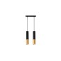 Lustra cu 2 pendule, pentru living/bucatarie, baza 22x4x2,5 cm, lungime cablu 70cm, 35W, negru/auriu Lustra cu 2 pendule, pentru living/bucatarie, baza 22x4x2,5 cm, lungime cablu 70cm, 35W, negru/auriu