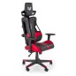 Scaun gaming, inaltime 130-137 cm, latime 66 cm, cotiere reglabile, maxim 120 kg, functie balansare, blocare Scaun gaming, inaltime 130-137 cm, latime 66 cm, cotiere reglabile, maxim 120 kg, functie balansare, blocare