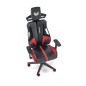 Scaun gaming, inaltime 130-137 cm, latime 66 cm, cotiere reglabile, maxim 120 kg, functie balansare, blocare Scaun gaming, inaltime 130-137 cm, latime 66 cm, cotiere reglabile, maxim 120 kg, functie balansare, blocare