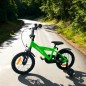 Bicicleta 14 inch, roti ajutatoare detasabile, cadru otel 21.5 cm, manere cauciucate, ghidon/sa reglabile, verde Bicicleta 14 inch, roti ajutatoare detasabile, cadru otel 21.5 cm, manere cauciucate, ghidon/sa reglabile, verde