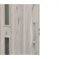 Usa de interior plianta cu geam tip acordeon, 203x80cm, stejar alaska mat, 6mm