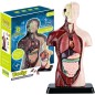 Jucarie educativa, anatomia omului - organe, 10 parti detasabile, 29x18x9 cm Jucarie educativa, anatomia omului - organe, 10 parti detasabile, 29x18x9 cm