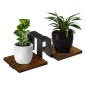 Suport de perete pentru flori, 2 polite, stejar laminat, 16.5 x 41.5 x 19 cm, cadru otel