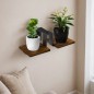 Suport de perete pentru flori, 2 polite, stejar laminat, 16.5 x 41.5 x 19 cm, cadru otel