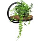 Suport suspendat pentru flori, Ebro Rustic, sustine maxim 5 kg, raft 26 cm, placa laminata, cadru otel