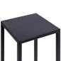 Stand metalic Piatto, depozitare plante si flori, tip coloana, inaltime 60 cm, stil minimalist, negru mat