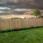 Gard din bambus pentru gradina, terasa, balcon, inaltime 120 cm, latime 500 cm Gard din bambus pentru gradina, terasa, balcon, inaltime 120 cm, latime 500 cm