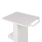 Carucior pentru salon de infrumusetare, roti cu blocare, maner, 2 rafturi, 83x36.5x48 cm, metal/plastic, alb