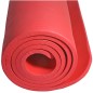 Saltea pentru antrenament fitness, impermeabila, 180x60x1 cm, rosu