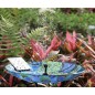 Fantana solara de gradina, 4 jeturi interschimbabile, inaltime 30-60 cm, panou 7V 1.8W, 180 L/h Fantana solara de gradina, 4 jeturi interschimbabile, inaltime 30-60 cm, panou 7V 1.8W, 180 L/h