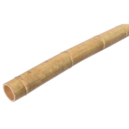 Stalp din bambus, MOSO, decor gradina, diametru 9-10 cm, lungime 100 cm, natur