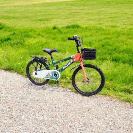 Bicicleta copii, roti 20 inch, portbagaj si cos frontal, aparatoare lant, maxim 60 kg, multicolor