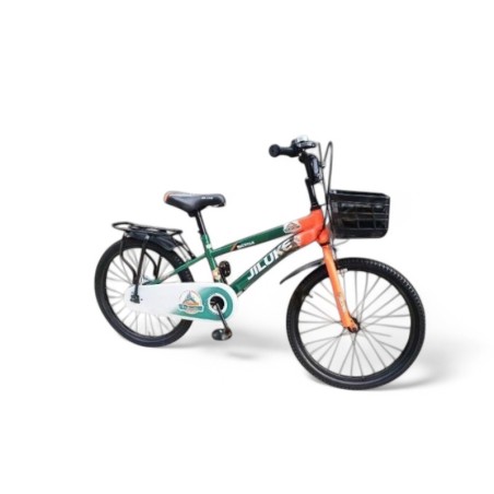 Bicicleta copii, roti 20 inch, portbagaj si cos frontal, aparatoare lant, maxim 60 kg, multicolor