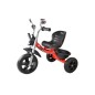 Tricicleta cu pedale, roti spuma EVA, far si oglinzi, cos depozitare, capacitate 40 kg