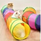 Tunel de joaca pentru pisici, 2 ferestre, jucarie cu pompon inclusa, diametru 25 cm, lungime 120 cm, multicolor Tunel de joaca pentru pisici, 2 ferestre, jucarie cu pompon inclusa, diametru 25 cm, lungime 120 cm, multicolor