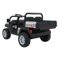 ATV pick-up electric, 2x200W, radio, MP3, Bluetooth, faruri LED, 3 viteze, maxim 60 kg, Champion
