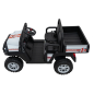ATV pick-up electric, 2x200W, radio, MP3, Bluetooth, faruri LED, 3 viteze, maxim 60 kg, Champion
