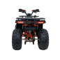 ATV PRO RIDER 200cc, pe benzina, automat, 12V9Ah, maxim 60 km/h, 186x103x109 cm, portocaliu