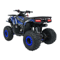 ATV 125CC, pe benzina, capacitate 85 kg, lumini, cutie automata, indicator kilometraj/combustibil,12V/4Ah, albastru ATV 125CC, pe benzina, capacitate 85 kg, lumini, cutie automata, indicator kilometraj/combustibil,12V/4Ah, albastru