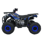 ATV 125CC, pe benzina, capacitate 85 kg, lumini, cutie automata, indicator kilometraj/combustibil,12V/4Ah, albastru ATV 125CC, pe benzina, capacitate 85 kg, lumini, cutie automata, indicator kilometraj/combustibil,12V/4Ah, albastru