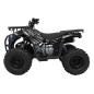 ATV pe benzina, cutie automata, 125CC, E-START, amortizoare, filtru de aer conic, lumini frontale, anvelope gonflabile, negru