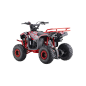 ATV pe benzina, 110 cc, 45 km/h, cutie de viteze automata, tahometru, vitezometru, anvelope gonflabile, 117x78x78 cm, rosu/negru ATV pe benzina, 110 cc, 45 km/h, cutie de viteze automata, tahometru, vitezometru, anvelope gonflabile, 117x78x78 cm, rosu/negru