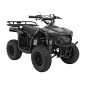 ATV SIRIUS, motor pe benzina, 49cc, 35 km/h, suspensii, scaun piele ecologica, 115x69x72 cm, negru ATV SIRIUS, motor pe benzina, 49cc, 35 km/h, suspensii, scaun piele ecologica, 115x69x72 cm, negru