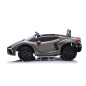 Masinuta electrica Lamborghini, 4x200W, panou audio, pornire lenta, lumini fata spate, 2 scaune cu centura, 132x73x44 cm, gri