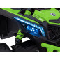 ATV CAN-AM Maverick, 4x200W, baterie 24V5Ah, control parental, panou audio, scaun piele eco, verde